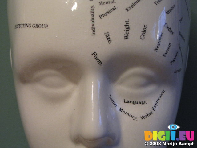 SX00036 Eyes of Phrenology head